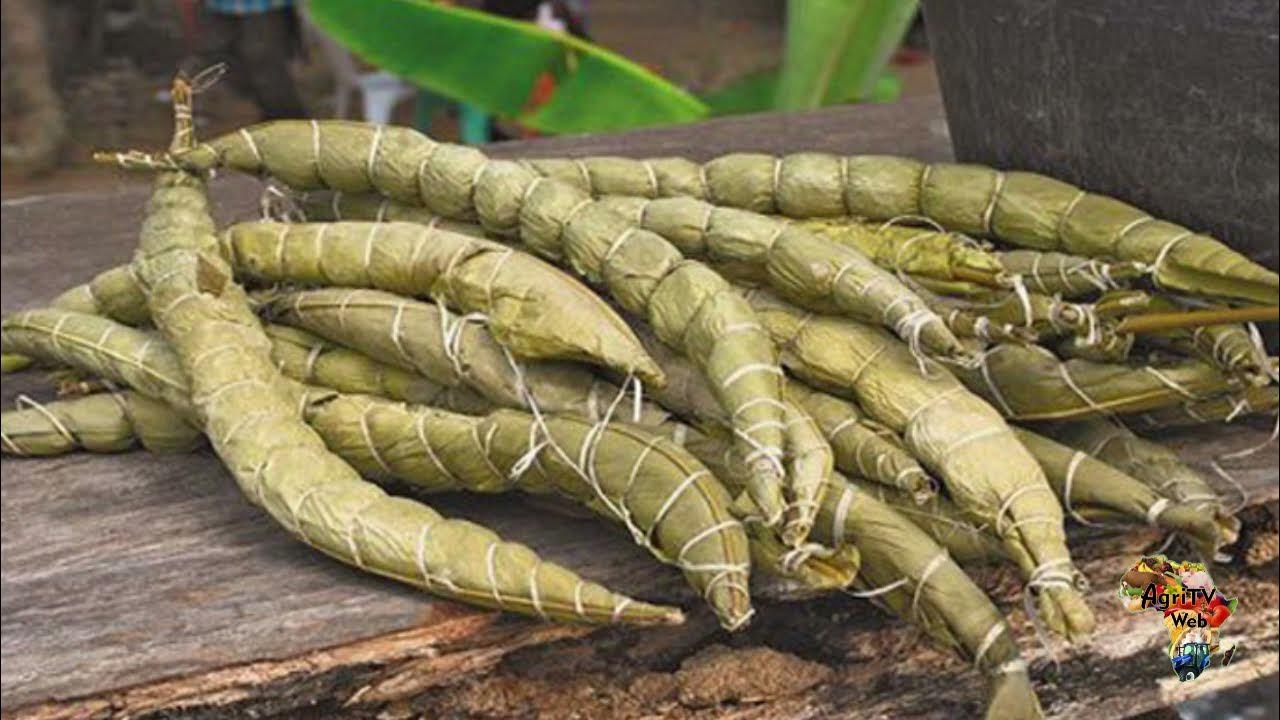 Baton de Manioc